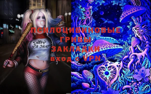 ECSTASY Белокуриха