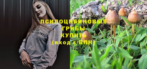 ECSTASY Белокуриха