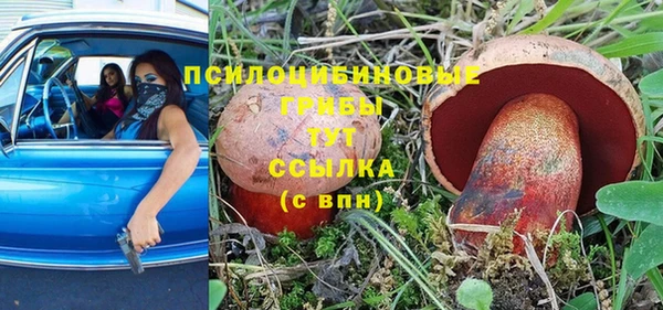 не бодяженный Беломорск