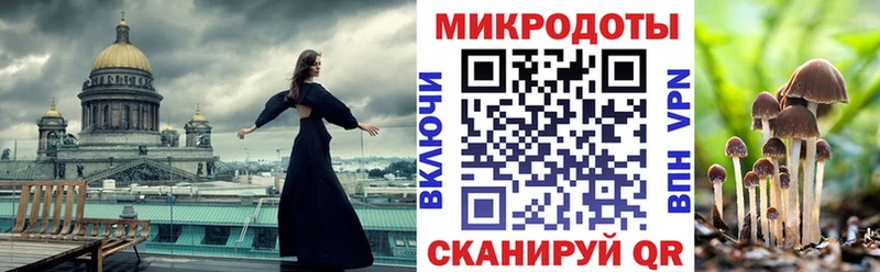 Галлюциногенные грибы Psilocybe  где купить наркоту  Волгореченск 